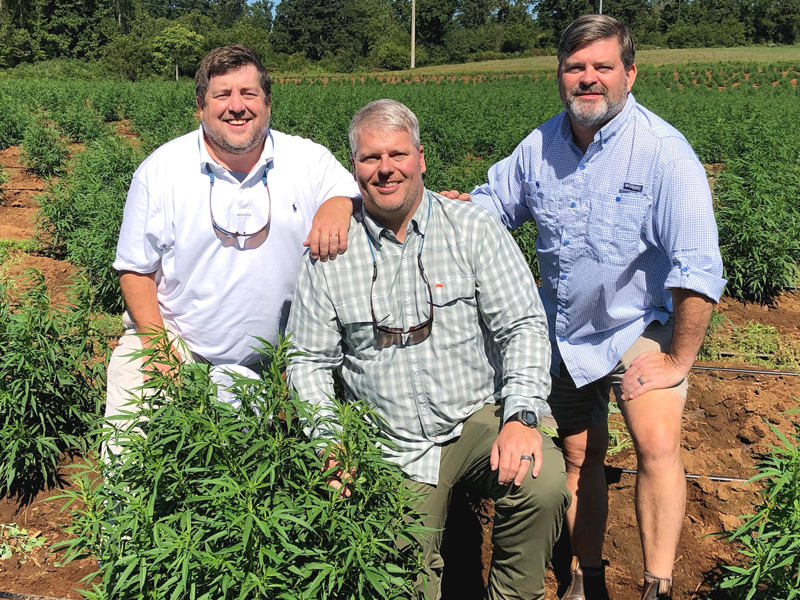 State Partnership Aids Launch of Major Hemp Operation in Ocilla