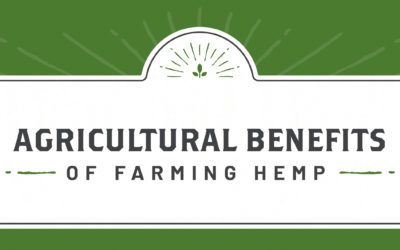 The Agricultural Benefits of Hemp: Why to Farm Hemp